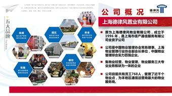 互聯(lián)網(wǎng)科技開(kāi)發(fā)與技術(shù)服務(wù) 重塑物業(yè)管理行業(yè)的未來(lái)